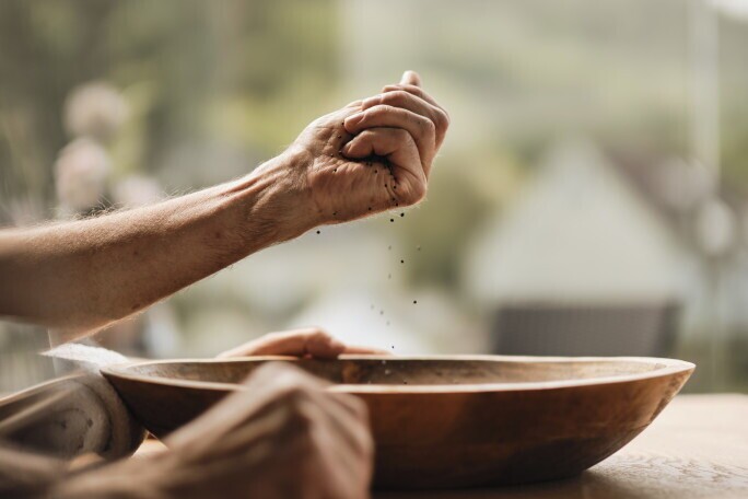 Genesungsassistent / Recovery Manager (m/w/d) - SalutoCare, 3. Bild